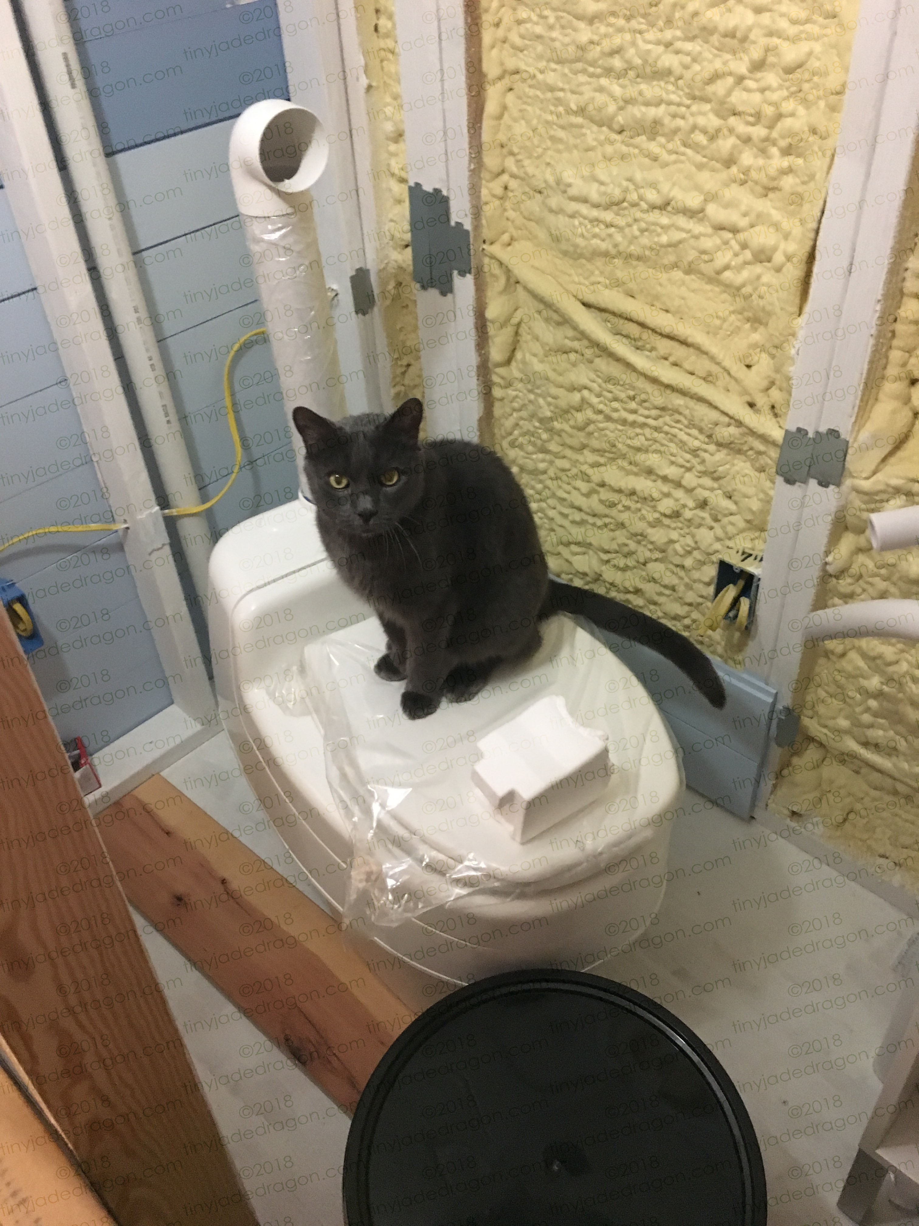 Compost Toilet Occupied
